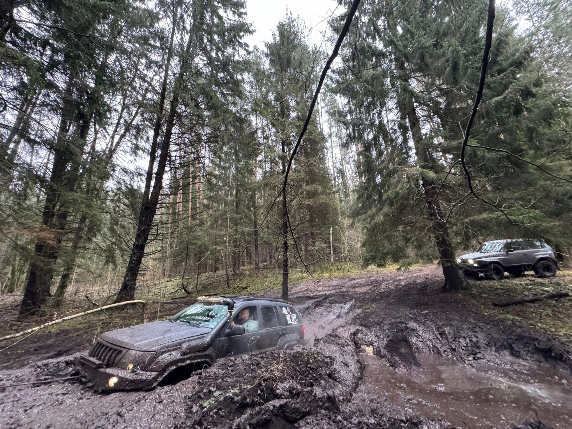 MudBrothers kolona miško provėžose